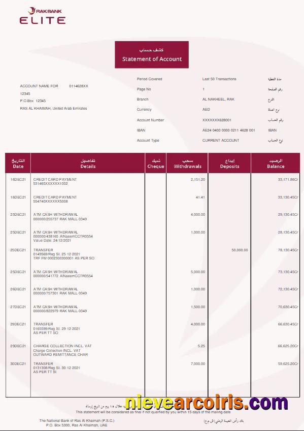 UAE Rakbank Elite bank statement Word and PDF w